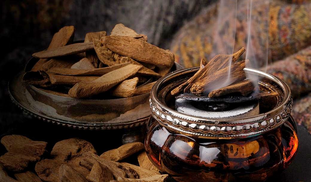 Agarwood